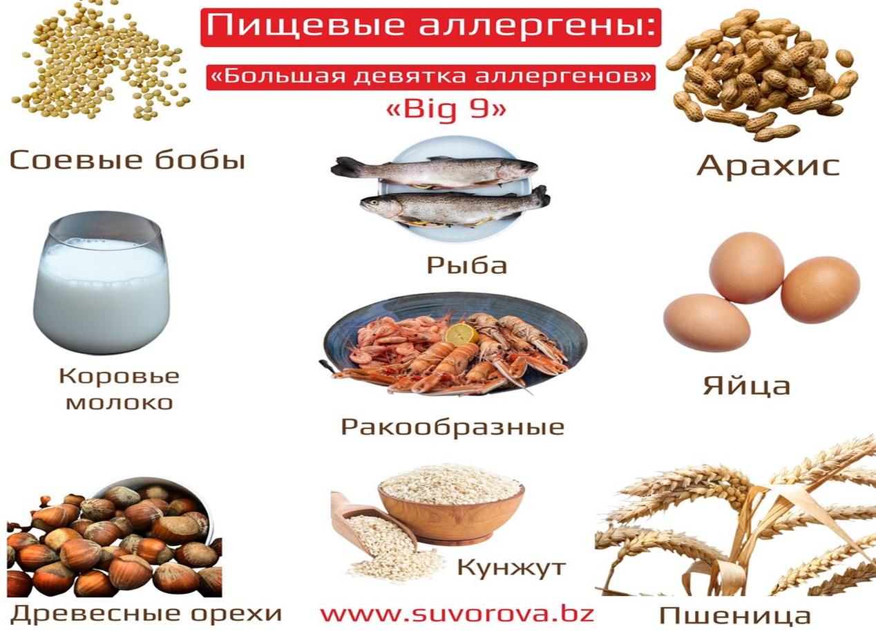 Аллергены в пище