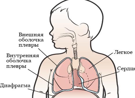 Знакомство ребенка с наиболее распространенными продуктами, вызывающими аллергию.