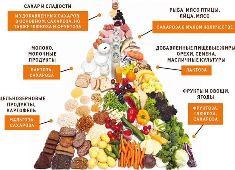 Из каких продуктов мы получаем сахара?