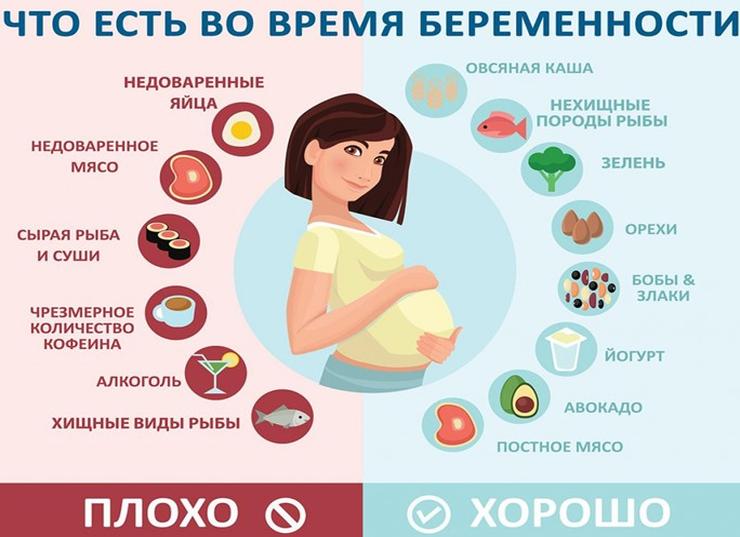 Питание во время беременности