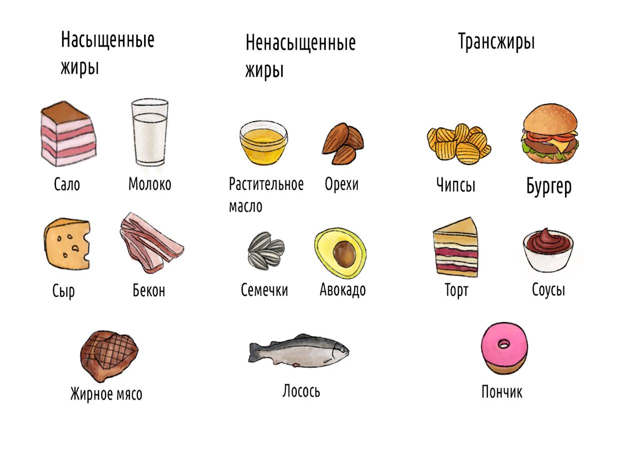 Жиры