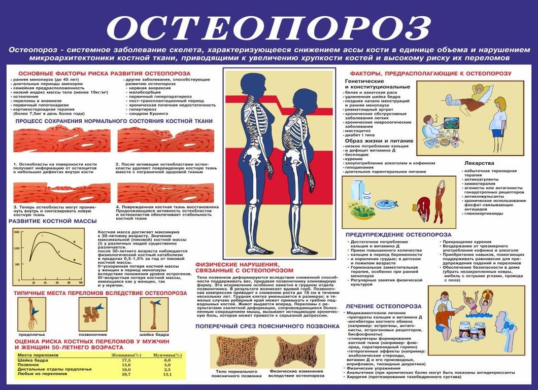 Питание для профилактики остеопороза
