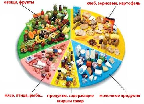 Потребности детей в энергии и питательных веществах