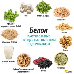 Питательные вещества, на которые больше всего необходимо обращать внимание веганам