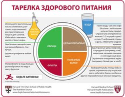 питание