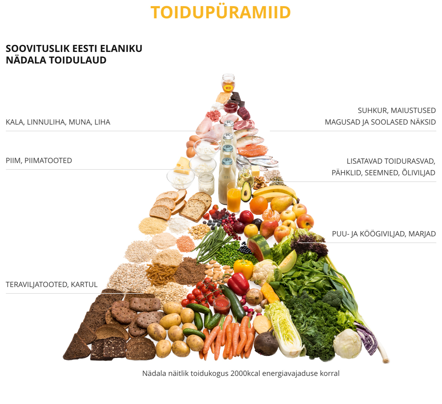 Kuidas tervislikult toituda | Tervisliku toitumise informatsioon