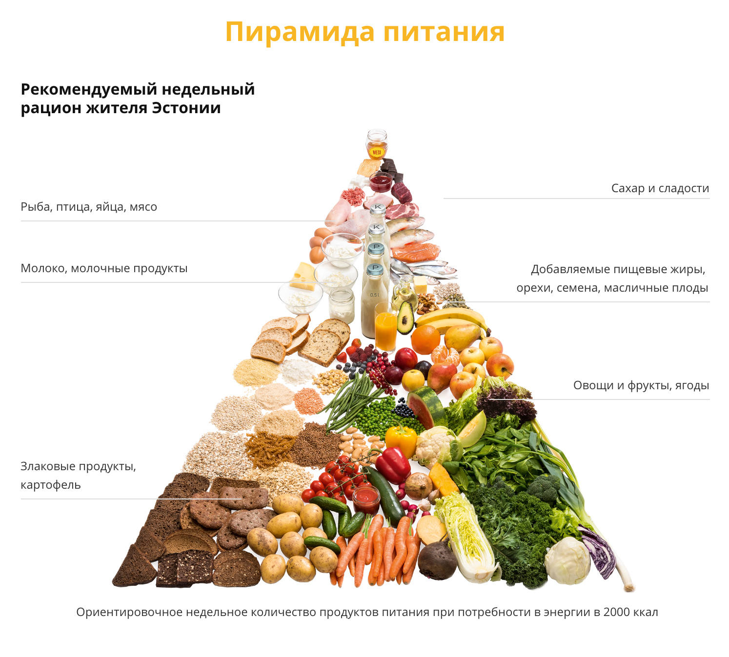 Как правильно питаться | Tervisliku toitumise informatsioon
